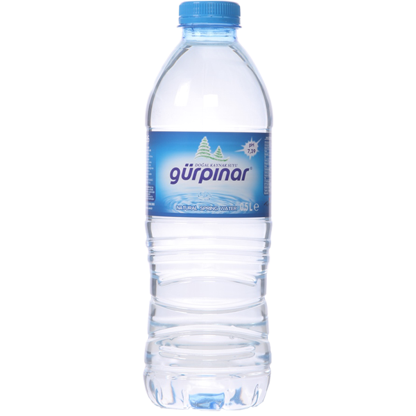 0,5 L. Pet Doğal Kaynak Su (12x2)